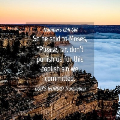 Picture 04 - Numbers 12:11 GW - So he said to Moses, “Please, sir, don’t - Bible Verse Picture