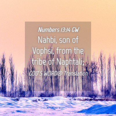Picture 04 - Numbers 13:14 GW - Nahbi, son of Vophsi, from the tribe of - Bible Verse Picture