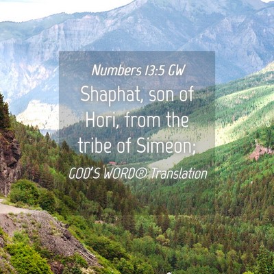 Picture 04 - Numbers 13:5 GW - Shaphat, son of Hori, from the tribe of - Bible Verse Picture