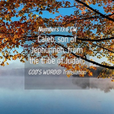 Picture 04 - Numbers 13:6 GW - Caleb, son of Jephunneh, from the tribe of - Bible Verse Picture