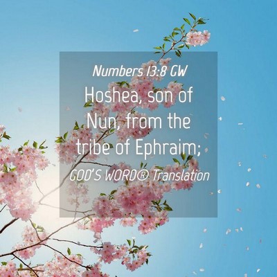 Picture 04 - Numbers 13:8 GW - Hoshea, son of Nun, from the tribe of - Bible Verse Picture