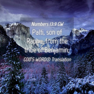 Picture 04 - Numbers 13:9 GW - Palti, son of Raphu, from the tribe of - Bible Verse Picture