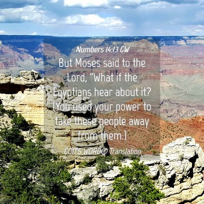 Picture 04 - Numbers 14:13 GW - But Moses said to the Lord, “What if the - Bible Verse Picture