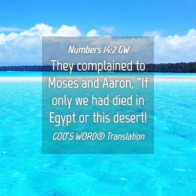 Picture 04 - Numbers 14:2 GW - They complained to Moses and Aaron, “If only we - Bible Verse Picture
