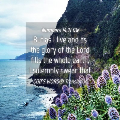 Picture 04 - Numbers 14:21 GW - But as I live and as the glory of the Lord fills - Bible Verse Picture