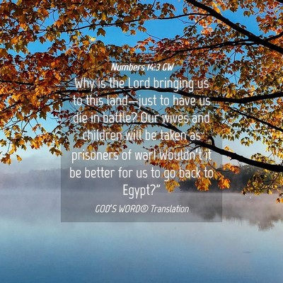 Picture 04 - Numbers 14:3 GW - Why is the Lord bringing us to this land—just - Bible Verse Picture