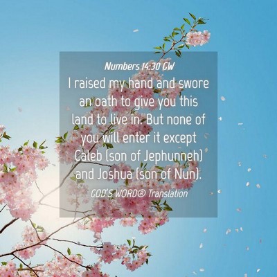 Picture 04 - Numbers 14:30 GW - I raised my hand and swore an oath to give you - Bible Verse Picture