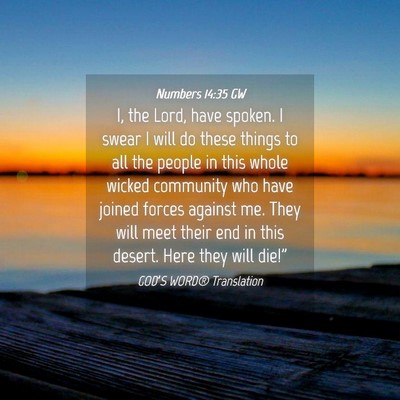 Picture 04 - Numbers 14:35 GW - I, the Lord, have spoken. I swear I will do these - Bible Verse Picture