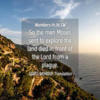 Picture 04 - Numbers 14:36 GW - So the men Moses sent to explore the land died in - Bible Verse Picture