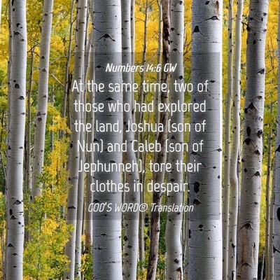 Picture 04 - Numbers 14:6 GW - At the same time, two of those who had explored - Bible Verse Picture