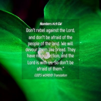 Picture 04 - Numbers 14:9 GW - Don’t rebel against the Lord, and don’t be - Bible Verse Picture