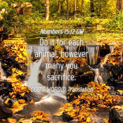 Picture 04 - Numbers 15:12 GW - Do it for each animal, however many you - Bible Verse Picture