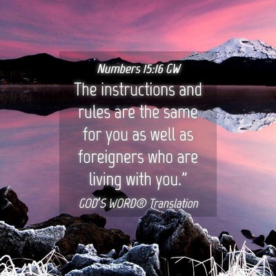 Picture 04 - Numbers 15:16 GW - The instructions and rules are the same for you - Bible Verse Picture