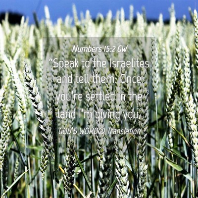 Picture 04 - Numbers 15:2 GW - “Speak to the Israelites and tell them: Once - Bible Verse Picture
