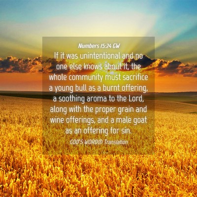 Picture 04 - Numbers 15:24 GW - If it was unintentional and no one else knows - Bible Verse Picture