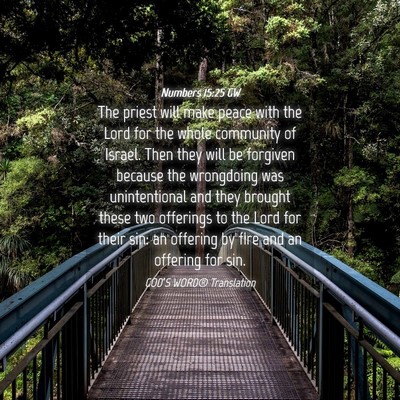 Picture 04 - Numbers 15:25 GW - The priest will make peace with the Lord for the - Bible Verse Picture