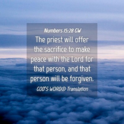 Picture 04 - Numbers 15:28 GW - The priest will offer the sacrifice to make peace - Bible Verse Picture