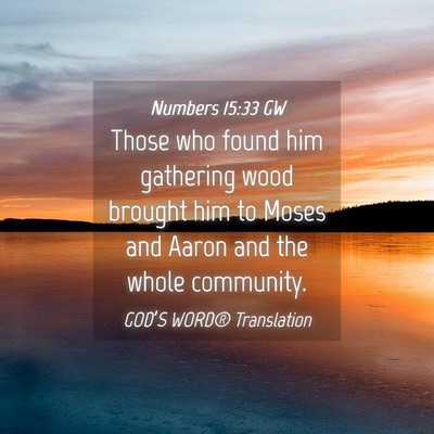 Picture 04 - Numbers 15:33 GW - Those who found him gathering wood brought him to - Bible Verse Picture