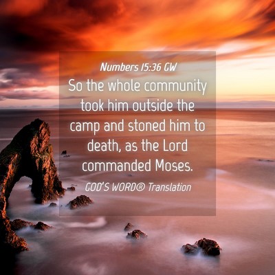 Picture 04 - Numbers 15:36 GW - So the whole community took him outside the camp - Bible Verse Picture