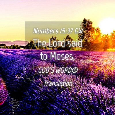 Picture 04 - Numbers 15:37 GW - The Lord said to - Bible Verse Picture
