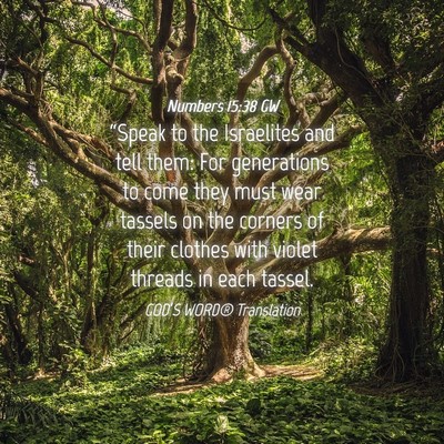 Picture 04 - Numbers 15:38 GW - “Speak to the Israelites and tell them: For - Bible Verse Picture