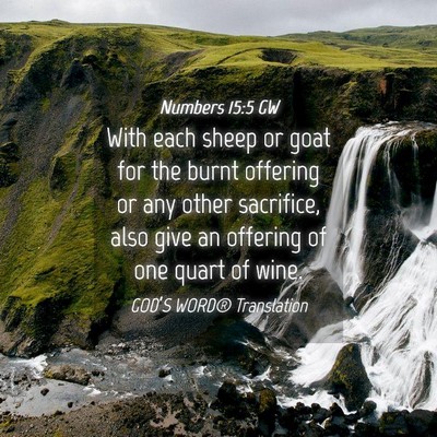 Picture 04 - Numbers 15:5 GW - With each sheep or goat for the burnt offering or - Bible Verse Picture