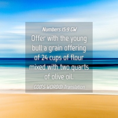 Picture 04 - Numbers 15:9 GW - Offer with the young bull a grain offering of 24 - Bible Verse Picture