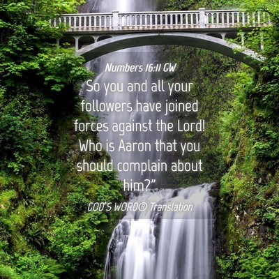 Picture 04 - Numbers 16:11 GW - So you and all your followers have joined forces - Bible Verse Picture
