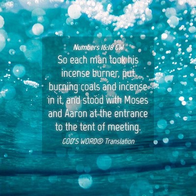 Picture 04 - Numbers 16:18 GW - So each man took his incense burner, put burning - Bible Verse Picture