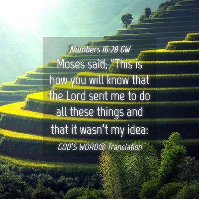 Picture 04 - Numbers 16:28 GW - Moses said, “This is how you will know that the - Bible Verse Picture
