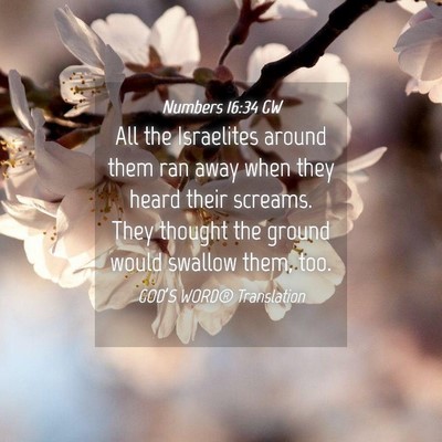 Picture 04 - Numbers 16:34 GW - All the Israelites around them ran away when they - Bible Verse Picture