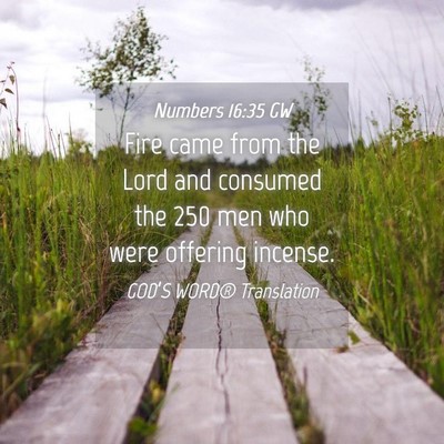 Picture 04 - Numbers 16:35 GW - Fire came from the Lord and consumed the 250 men - Bible Verse Picture