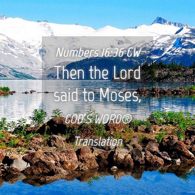 Picture 04 - Numbers 16:36 GW - Then the Lord said to - Bible Verse Picture