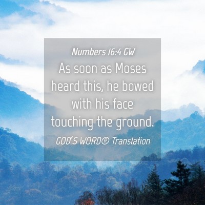 Picture 04 - Numbers 16:4 GW - As soon as Moses heard this, he bowed with his - Bible Verse Picture