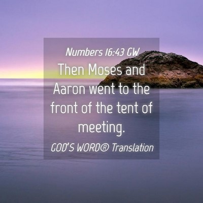 Picture 04 - Numbers 16:43 GW - Then Moses and Aaron went to the front of the - Bible Verse Picture