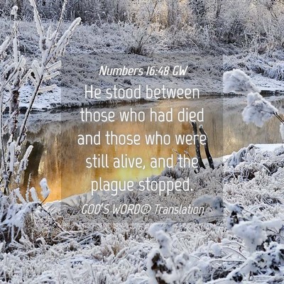 Picture 04 - Numbers 16:48 GW - He stood between those who had died and those who - Bible Verse Picture