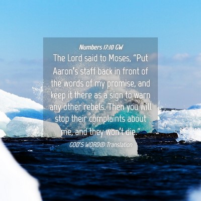 Picture 04 - Numbers 17:10 GW - The Lord said to Moses, “Put Aaron’s staff - Bible Verse Picture