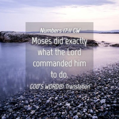Picture 04 - Numbers 17:11 GW - Moses did exactly what the Lord commanded him to - Bible Verse Picture
