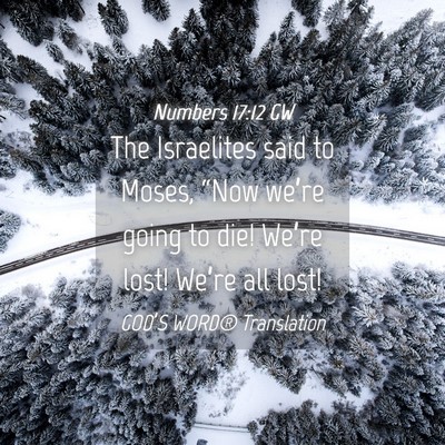 Picture 04 - Numbers 17:12 GW - The Israelites said to Moses, “Now we’re - Bible Verse Picture