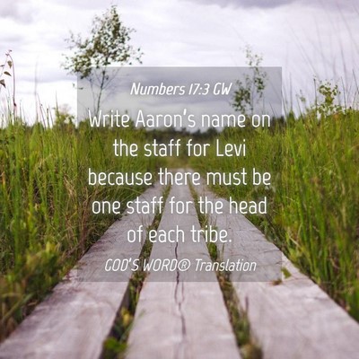 Picture 04 - Numbers 17:3 GW - Write Aaron’s name on the staff for Levi - Bible Verse Picture