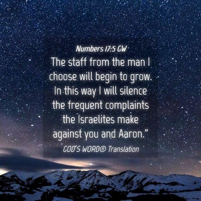 Picture 04 - Numbers 17:5 GW - The staff from the man I choose will begin to - Bible Verse Picture