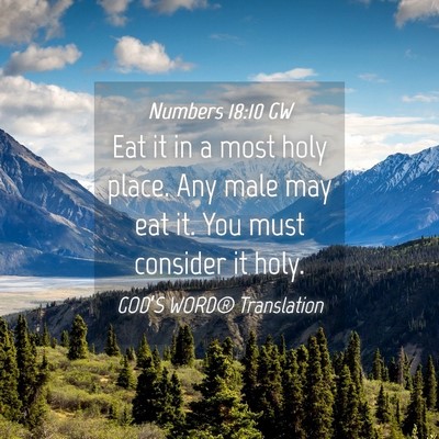 Picture 04 - Numbers 18:10 GW - Eat it in a most holy place. Any male may eat it. - Bible Verse Picture