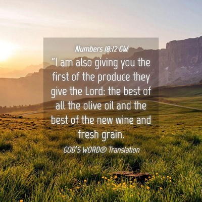 Picture 04 - Numbers 18:12 GW - “I am also giving you the first of the produce - Bible Verse Picture