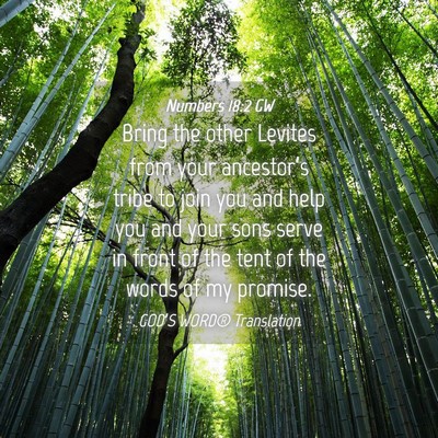 Picture 04 - Numbers 18:2 GW - Bring the other Levites from your ancestor’s - Bible Verse Picture