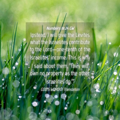 Picture 04 - Numbers 18:24 GW - Instead, I will give the Levites what the - Bible Verse Picture