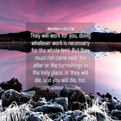 Picture 04 - Numbers 18:3 GW - They will work for you, doing whatever work is - Bible Verse Picture