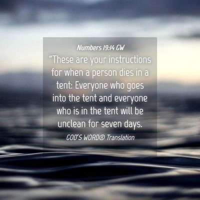 Picture 04 - Numbers 19:14 GW - “These are your instructions for when a person - Bible Verse Picture