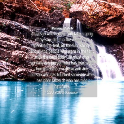 Picture 04 - Numbers 19:18 GW - A person who is clean will take a sprig of - Bible Verse Picture