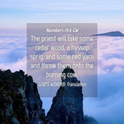Picture 04 - Numbers 19:6 GW - The priest will take some cedar wood, a hyssop - Bible Verse Picture