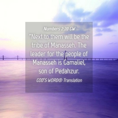 Picture 04 - Numbers 2:20 GW - “Next to them will be the tribe of Manasseh. - Bible Verse Picture